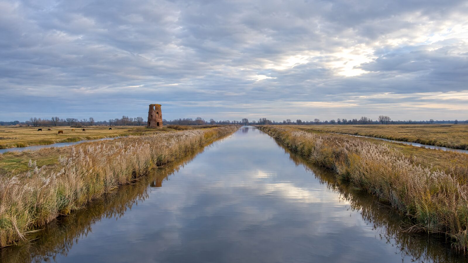 A straight reed-fringed river running through flat Norfolk Broads grazing marsh under a wide sky, with a derelict brick drainage mill on the bank